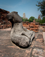 Ayutthaya - Wat Mahatat