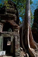 Angkor-5310