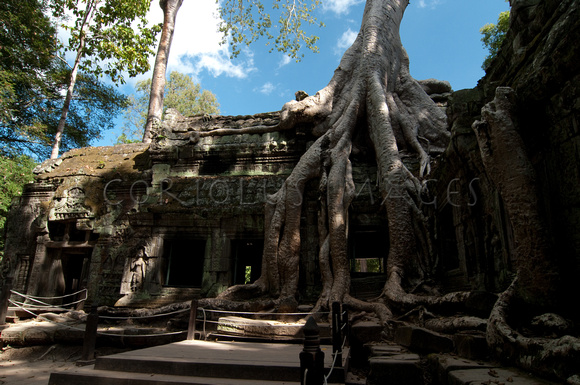 Angkor-5426