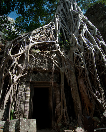 Angkor-5345