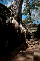 Angkor-5327