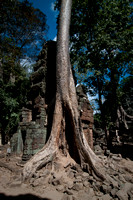 Angkor-5311