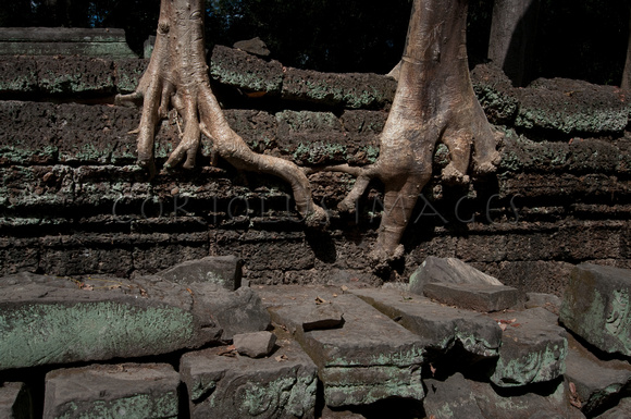 Angkor-5414