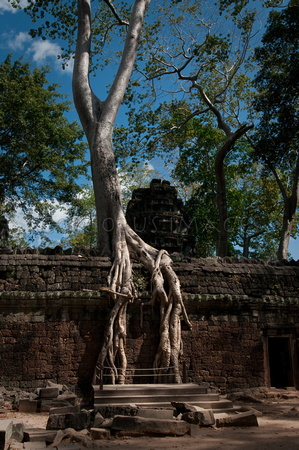 Angkor-5317