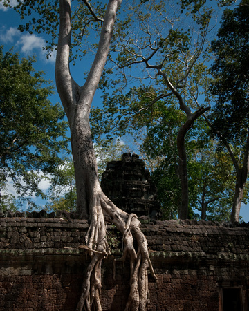 Angkor-5317-2