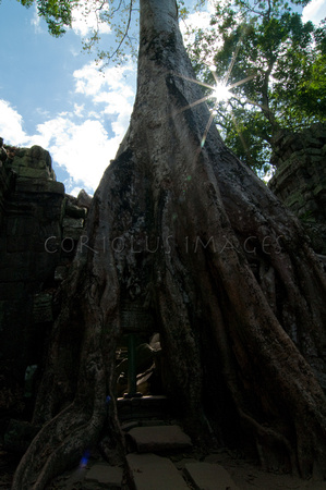 Angkor-5387