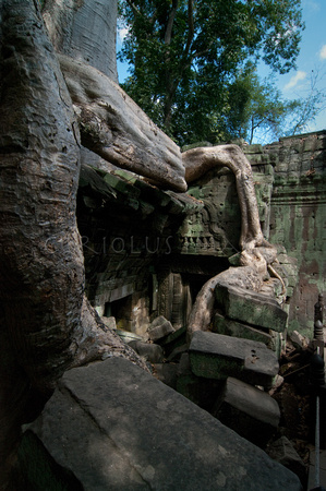 Angkor-5404