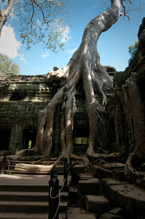 Angkor-5421