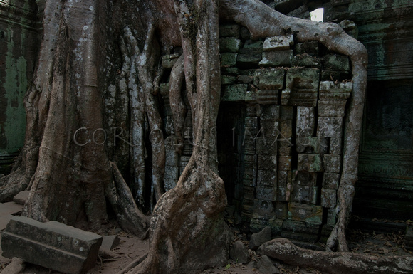Angkor-5400