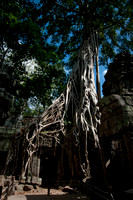 Angkor-5342