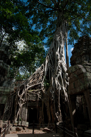 Angkor-5342