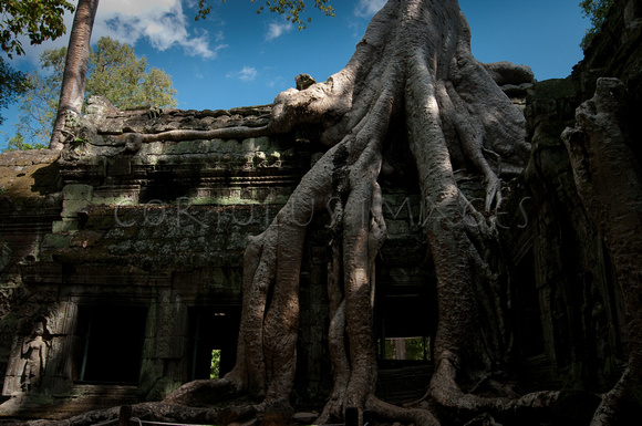Angkor-5424