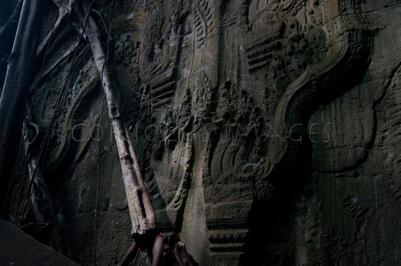 Angkor-5440
