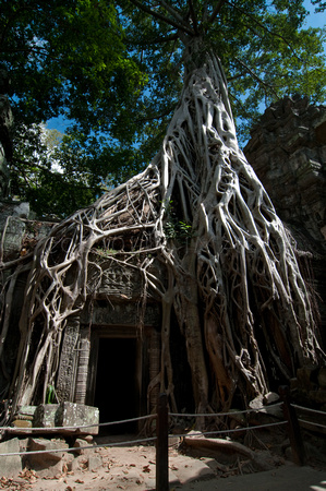 Angkor-5344