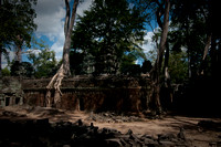 Angkor-5319