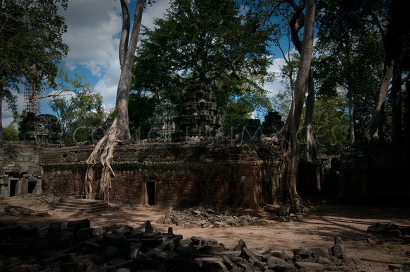 Angkor-5319