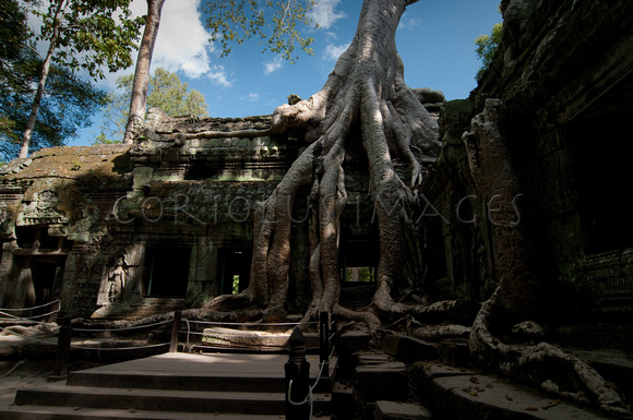 Angkor-5423