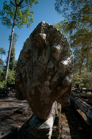 Angkor-5255