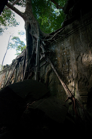 Angkor-5439