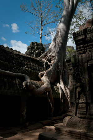 Angkor-5331