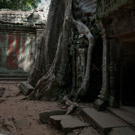 Angkor-5401