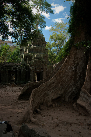 Angkor-5378