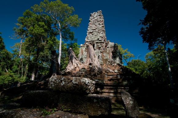 Angkor-5223