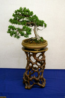 Bonsai and carved stand
